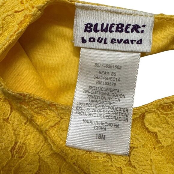 Blueberi Boulevard Yellow Lace Baby Girl Dress 18M Sleeveless Lined - Picture 4 of 4